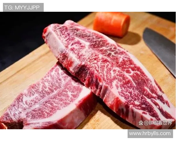 你不知道的公牛：十大冷知识大揭秘